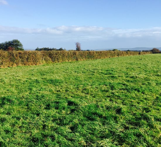 'Farmers are put in a Greening straight-jacket out of which they cannot wiggle'