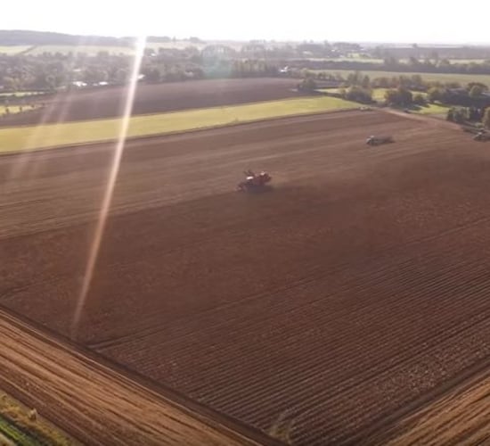 Video: The potato harvest came to an end in Kildare recently