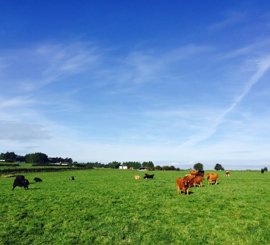 Government urged to give farmers 'fair share' of BAR fund