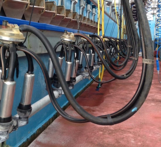 Dairy: GDT sees further gain after latest trading event