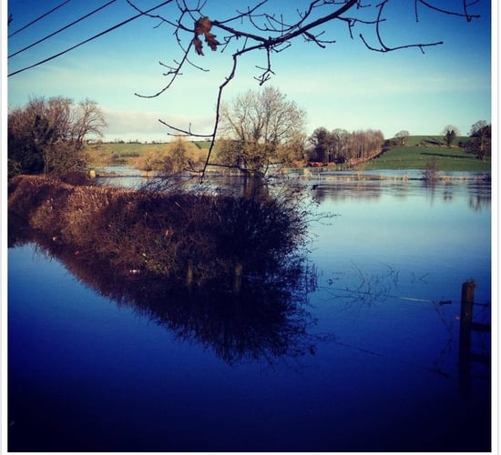 Pics: Storm Desmond battered farmland over the weekend