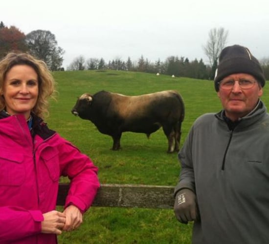Video: Tonight's Ear to the Ground looks at what's next for the IFA