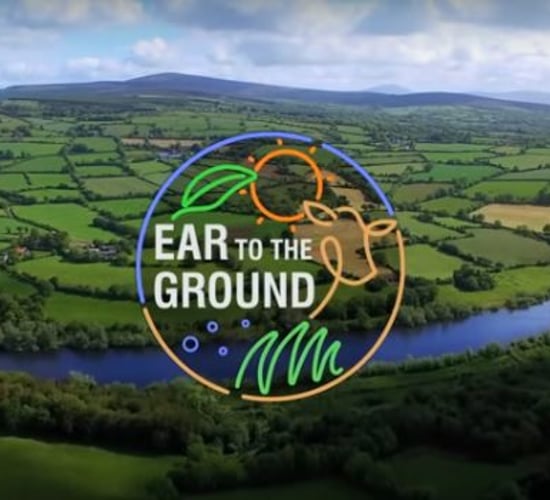 Video: Ear to the Ground focus on organic beef farming
