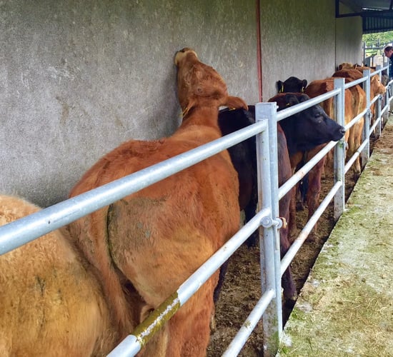 Department spend on disease eradication schemes down in 2015