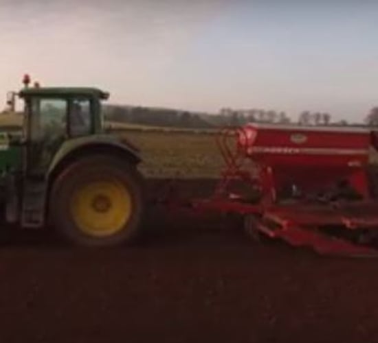 Video: Harvesting maize to sowing winter corn in a matter of minutes