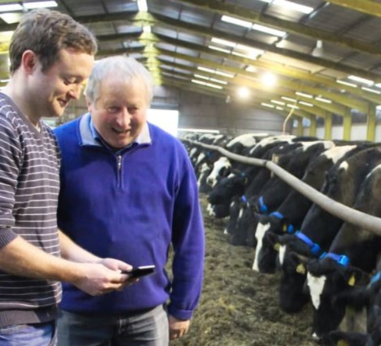 One of Ireland's largest dairy farms fits Dairymaster's MooMonitor system