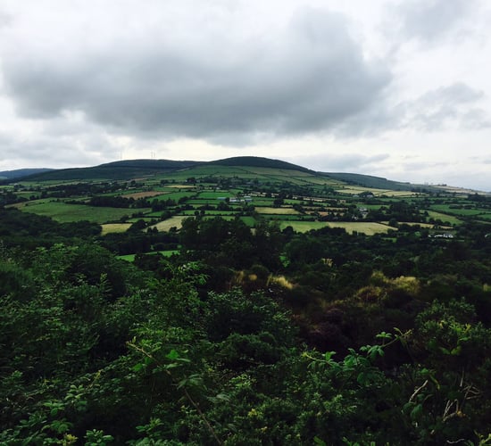 Hill farmers call for 'fair' land eligibility inspections