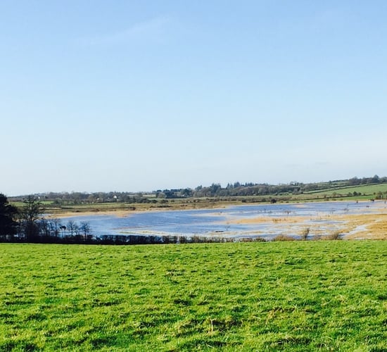 Galway TD says claims over flooding work are 'not true'