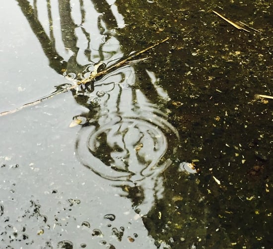 Good spell of weather to come to an end over weekend