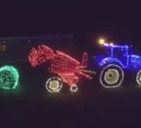 Video: A farming Christmas lights display like no other!