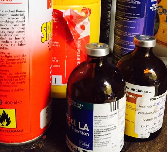 Department issues warning over buying animal medicines online