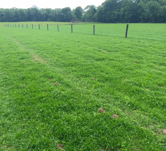 Soil test results represent real power for farmers