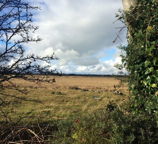 Forgotten Farmer group to meet over 'payment discrimination'