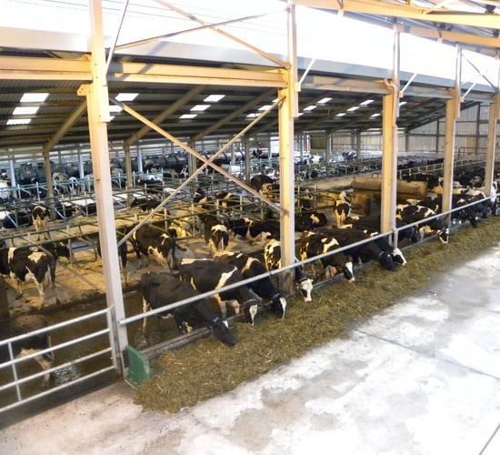 Inside the €2.3m UCD dairy research farm at Lyons
