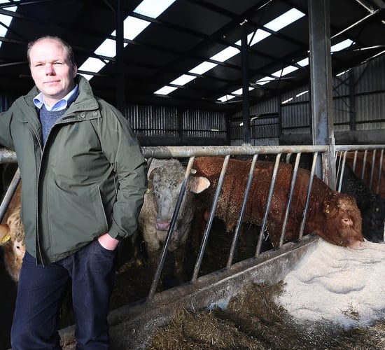 IFA Elections 2016: Henry Burns profile