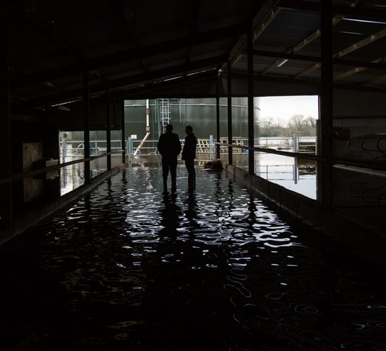 Department study underway into possible farm building relocation