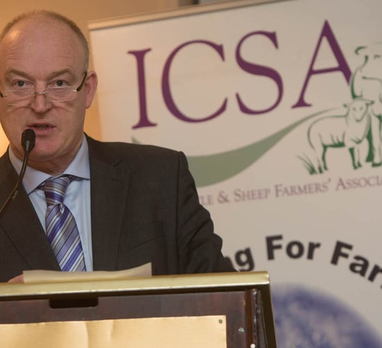 Former ICSA president nominated for Seanad seat