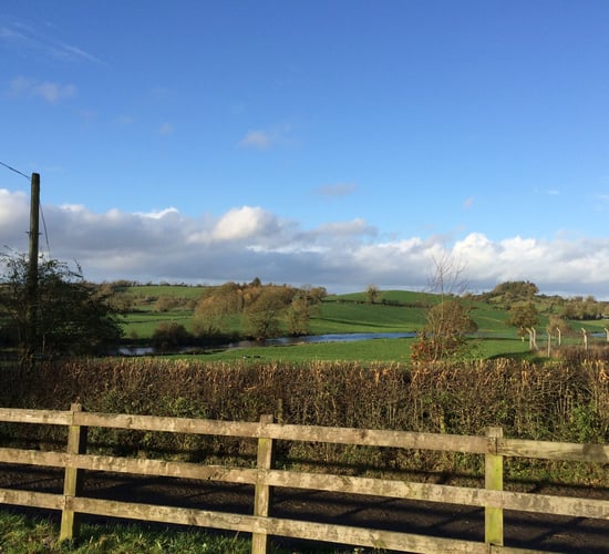 Many farmers fear farmland 'could be bought out from under them'