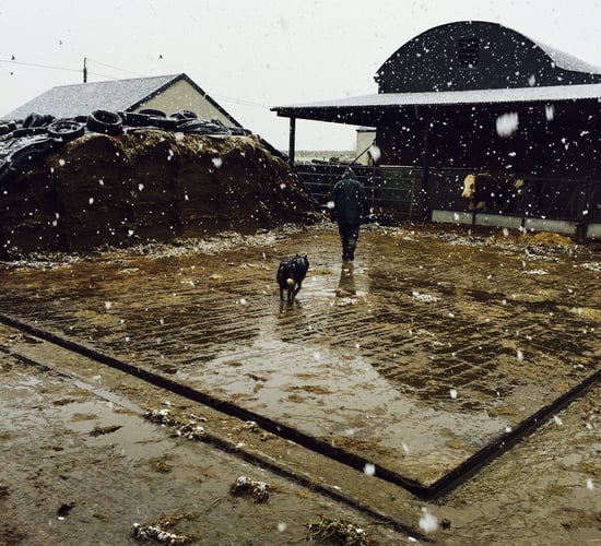A cold weekend in store with wintry showers - Met Eireann