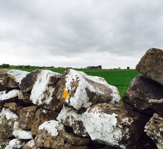 Orange warning in place as Storm Gertrude hits Ireland