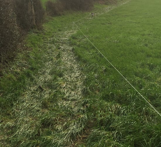 Here's why the extra grass on your farm may not be good for your pocket