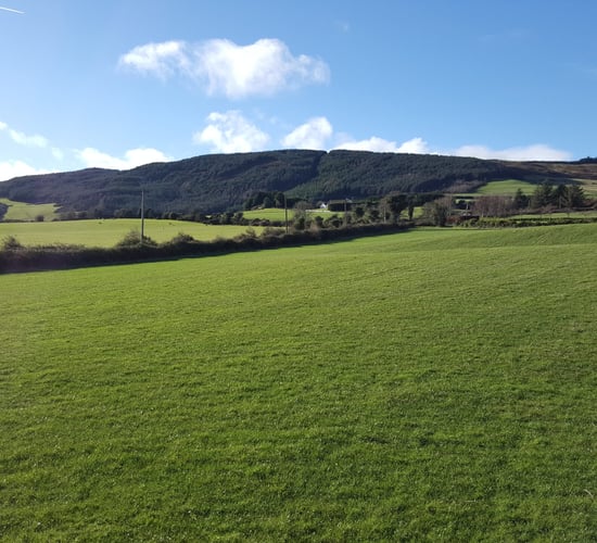 Teagasc launches new schemes support unit