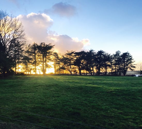 Pics: A break from the rain with some great winter sunrise shots