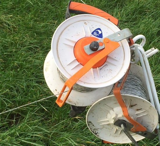 Spring grazing: Allocations can be a process of trial and error