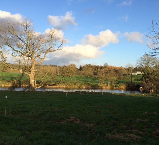 Northern Irish farmer fined for allowing silage effluent to enter waterway