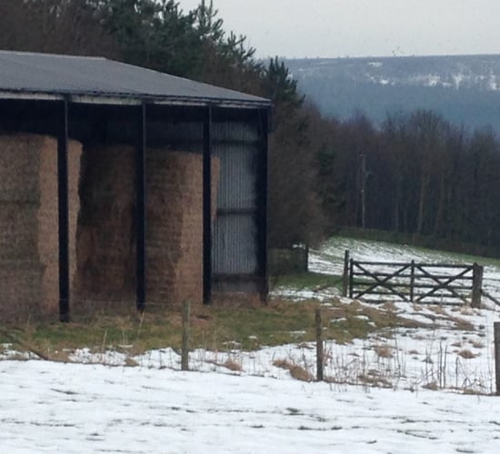 Pics: Snow hit the country last night - there was some great shots on Twitter