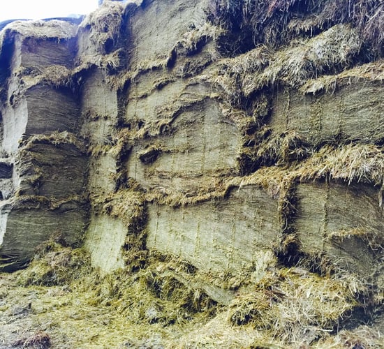Fertiliser: Start planning now for best silage results