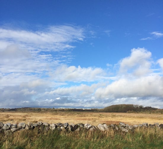 Ending producer monopolies among Renua's plans for rural Ireland