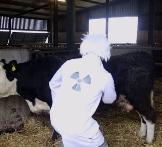 Videos: General Election candidates try to woo voters with crafty videos