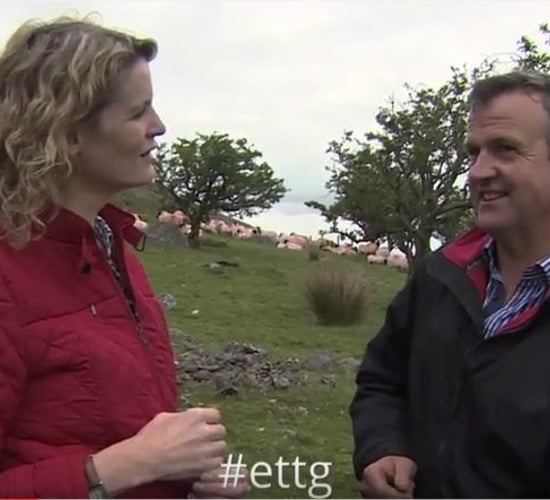 Video: Migrant workers and hill farming feature on Ear to the Ground