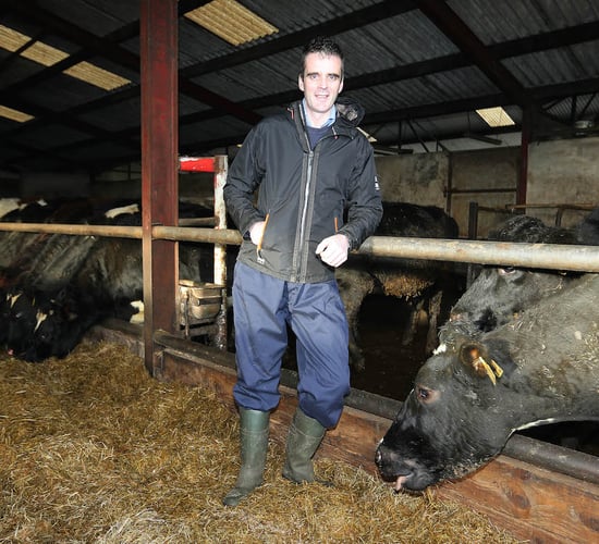 Joe Healy elected IFA President after landslide victory