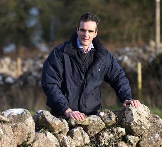 'Rural Ireland demands a full-time Minister for Agriculture'