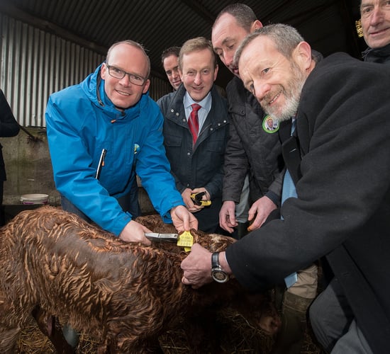 'Minister put politics before hard pressed farmers' by not attending key EU meeting