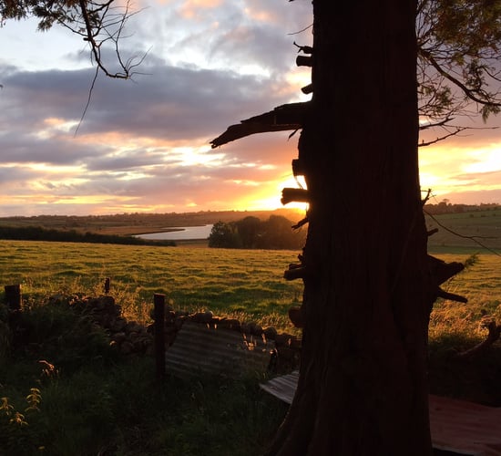 Land availability the biggest issue for Irish young farmers, says study