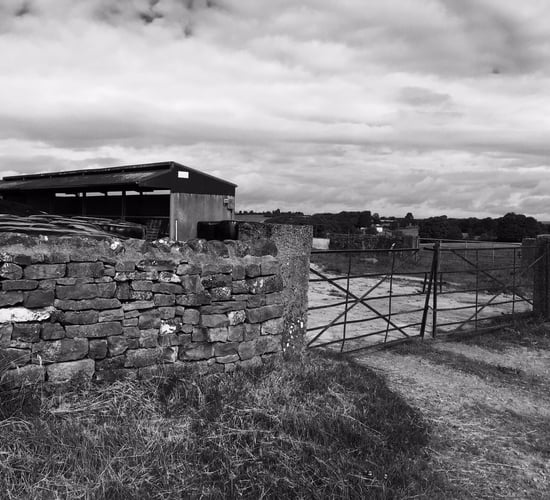'Valuable' cattle trailer stolen under the cover of darkness in the midlands