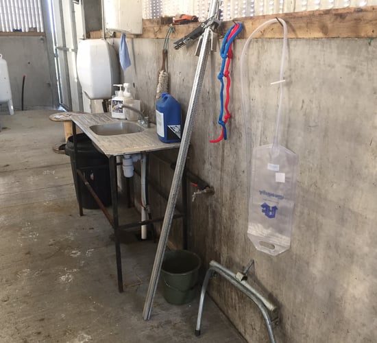 Autumn calving: Do you have you supplies ready?