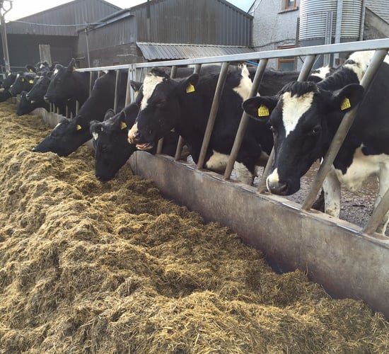 Grass growth: Continuing to fall across the country