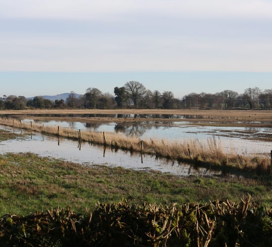 Farmers in the North hit by flooding to benefit from £1,000 relief
