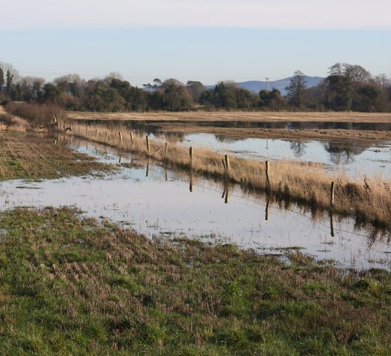 'Flood risk group not meeting in 4 years a total insult to people affected'