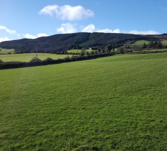 Leased land-owners won't be eligible for three-year cap in new Fair Deal