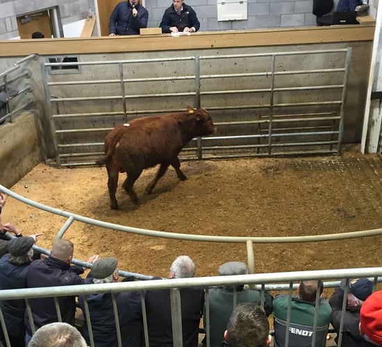 Minute's silence to be observed in marts for farm fatalities