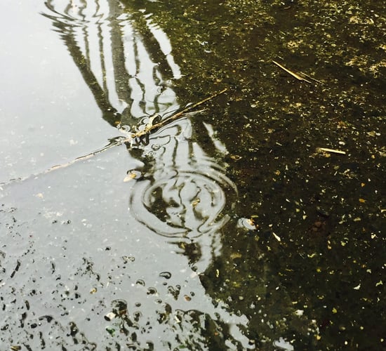 Wet and windy weather set to continue for the rest of the week