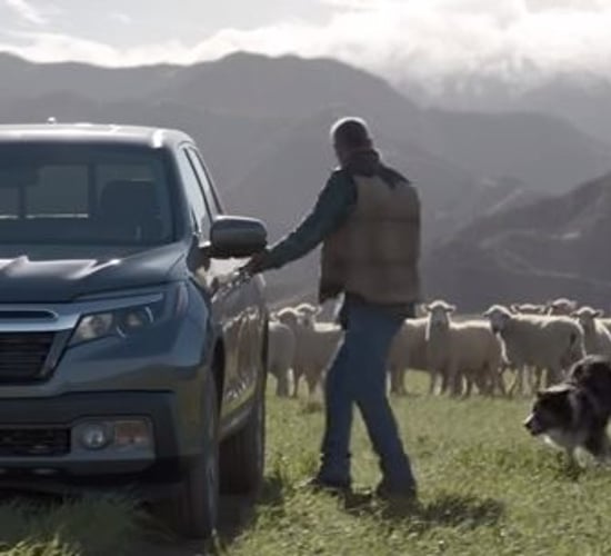 Video: Sheep take to the field for Honda's Superbowl 50 ad