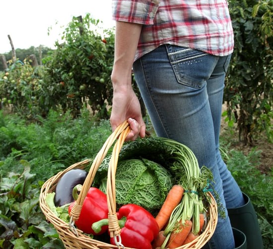 'Demand for organic produce in Ireland is outweighing supply'