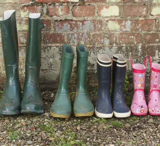 Farm safety needs to be prioritised in lead up to summer