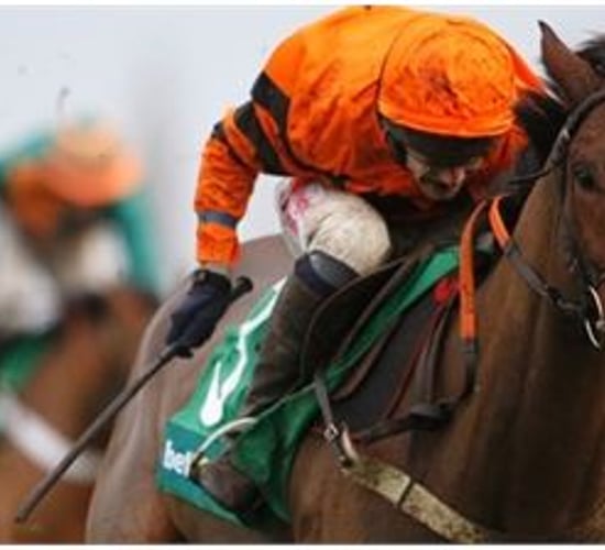 Here's five horses with farming connections to keep an eye on at Cheltenham